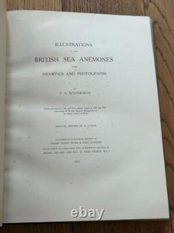 1935 SIGNED LIMITED EDITION 16 COPIES! Illustrations British Sea Anemones RARE