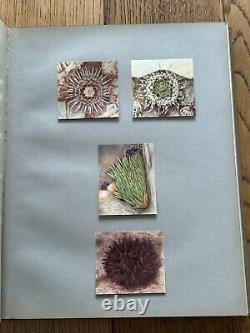 1935 SIGNED LIMITED EDITION 16 COPIES! Illustrations British Sea Anemones RARE
