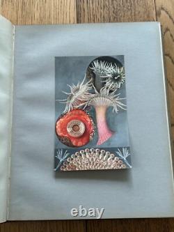 1935 SIGNED LIMITED EDITION 16 COPIES! Illustrations British Sea Anemones RARE