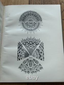 1935 SIGNED LIMITED EDITION 16 COPIES! Illustrations British Sea Anemones RARE