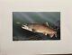 1989 Iowa Trout Stamp Print With Stamp SIGNED LIMITED EDITION