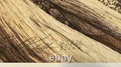 1991 Bev Doolittle The Sentinel Signed & Numbered Lithograph Unframed COA