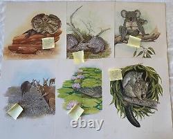 6 x Australian Animal Vintage Prints Signed Limited Edition Koala Kangaroo