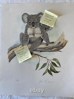 6 x Australian Animal Vintage Prints Signed Limited Edition Koala Kangaroo