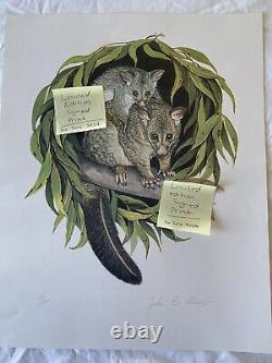 6 x Australian Animal Vintage Prints Signed Limited Edition Koala Kangaroo