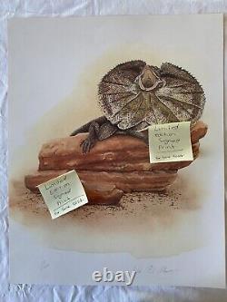 6 x Australian Animal Vintage Prints Signed Limited Edition Koala Kangaroo