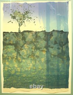 84 Anita Ford, Signed Numbered Limited Edition Print, Rocks & Waters Perfect