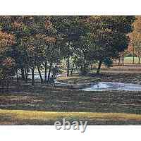 Carl Hoffner Barry Stream Giclee print, limited edition, autographed/fromJapan