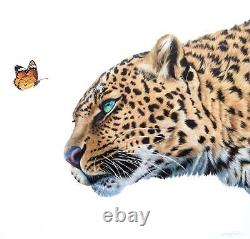 Curiosity III Leopard and Butterfly Fine Art Limited Edition Giclee Print