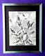 Francisco Toledo Signed Limited Edition Framed Print From Oaxaca Mexico