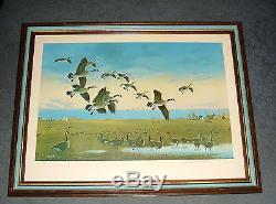 Jerry Raedeke 17 x 26, Backyard Birds Ducks Unlimited Limited Edition Print