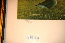 Jerry Raedeke 17 x 26, Backyard Birds Ducks Unlimited Limited Edition Print