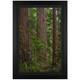 Jongas, Redwoods Framed Limited Edition on Canvas, Numbered and Hand Signed wi