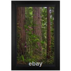 Jongas, Redwoods Framed Limited Edition on Canvas, Numbered and Hand Signed wi