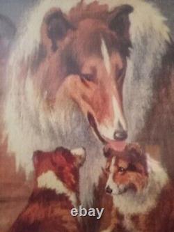 Limited Edition Collie Print 14/300 Signed By Artist Margaret S Johnson