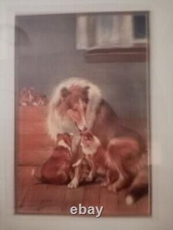 Limited Edition Collie Print 14/300 Signed By Artist Margaret S Johnson