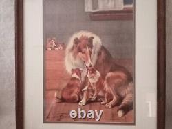 Limited Edition Collie Print 14/300 Signed By Artist Margaret S Johnson