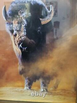 Limited Edition Print #460/950 The American Bison signed by Edward Aldrich