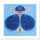 Lu Hong, Libra Limited Edition Giclee, Numbered and Hand Signed with COA