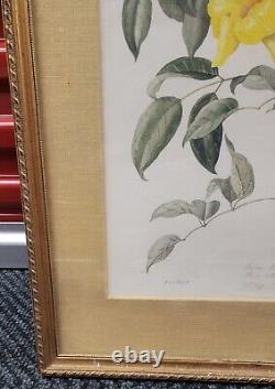 Margaret Mee 1972 Lithograph Limited Edition # 211 Out Of 1000 Signed By Pencil