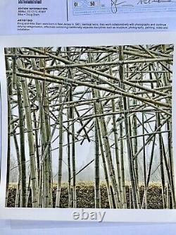 Mike + Doug Starn Limited Edition 1/50 Big Bamboo at the MET, Signed