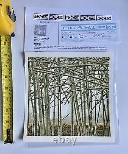 Mike + Doug Starn Limited Edition 1/50 Big Bamboo at the MET, Signed