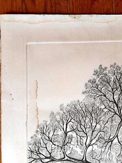 Patrick Parise (1980) Limited Edition Etching & Aquatint. Signed and Numbered