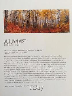 Peter Lik Autumn Mist 1.5 Meter Signed Limited Edition Tree Art #'d/950 COA