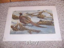 Pheasant In Cornfield by Robert Bateman Limited Edition Print A/P 34/56 SEALED