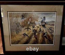 Quail Unlimited 1992 Print With Stamp Limited Edition Signed Maynard Reece Folio