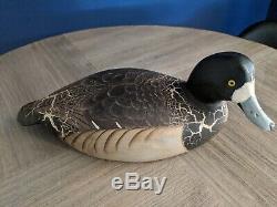 Rare ANTIQUE blue bill Signed Cedar WARD BROTHERS duck decoy limited edition