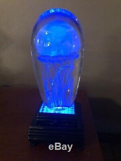 Richard Satava Moon Jellyfish blown Glass Art Signed Includes LED Light Stand