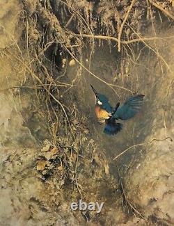 Signed Limited Edition Print. Kingfisher Raymond Ching