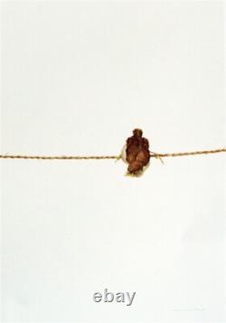 Signed Limited Edition Print. Sparrow Fledgling Raymond Ching