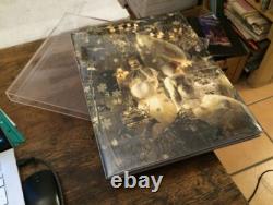 The Looking Glass LYNN GOLDSMITH withSlipcase LTD SIGNED Free US Shipping