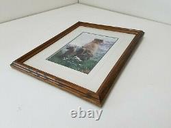 Thomas Mangelsen Limited Edition Signed 321/950 Framed Brown Bear Print E141