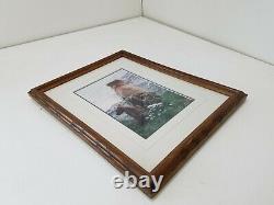 Thomas Mangelsen Limited Edition Signed 321/950 Framed Brown Bear Print E141