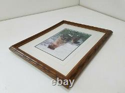 Thomas Mangelsen Limited Edition Signed 321/950 Framed Brown Bear Print E141