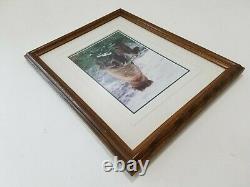 Thomas Mangelsen Limited Edition Signed 321/950 Framed Brown Bear Print E141