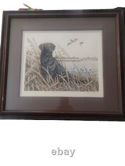 Vintage Dave Chapple Black Lab Limited Edition Signed And Numbered