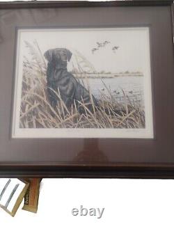 Vintage Dave Chapple Black Lab Limited Edition Signed And Numbered
