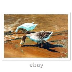 William Nelson GEESE Limited Edition Lithograph Hand Signed With LOA
